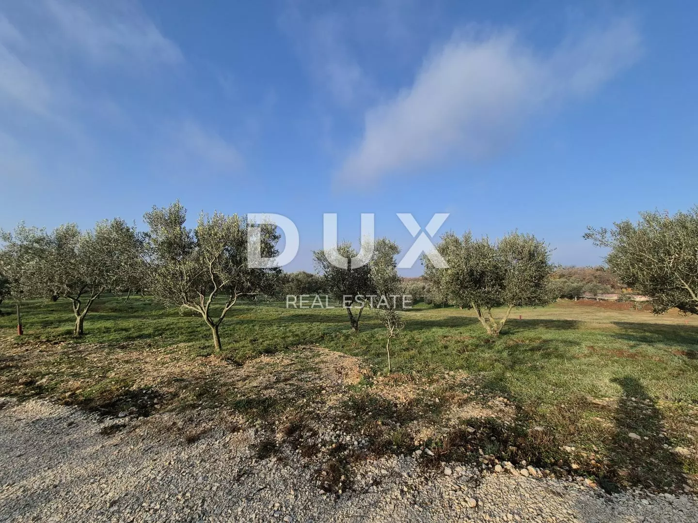Land In Buje, Croatia (1.494 M²)