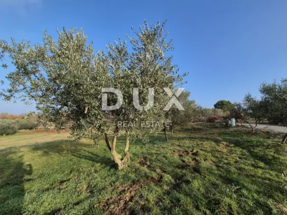 Land In Buje, Croatia (1.494 M²)