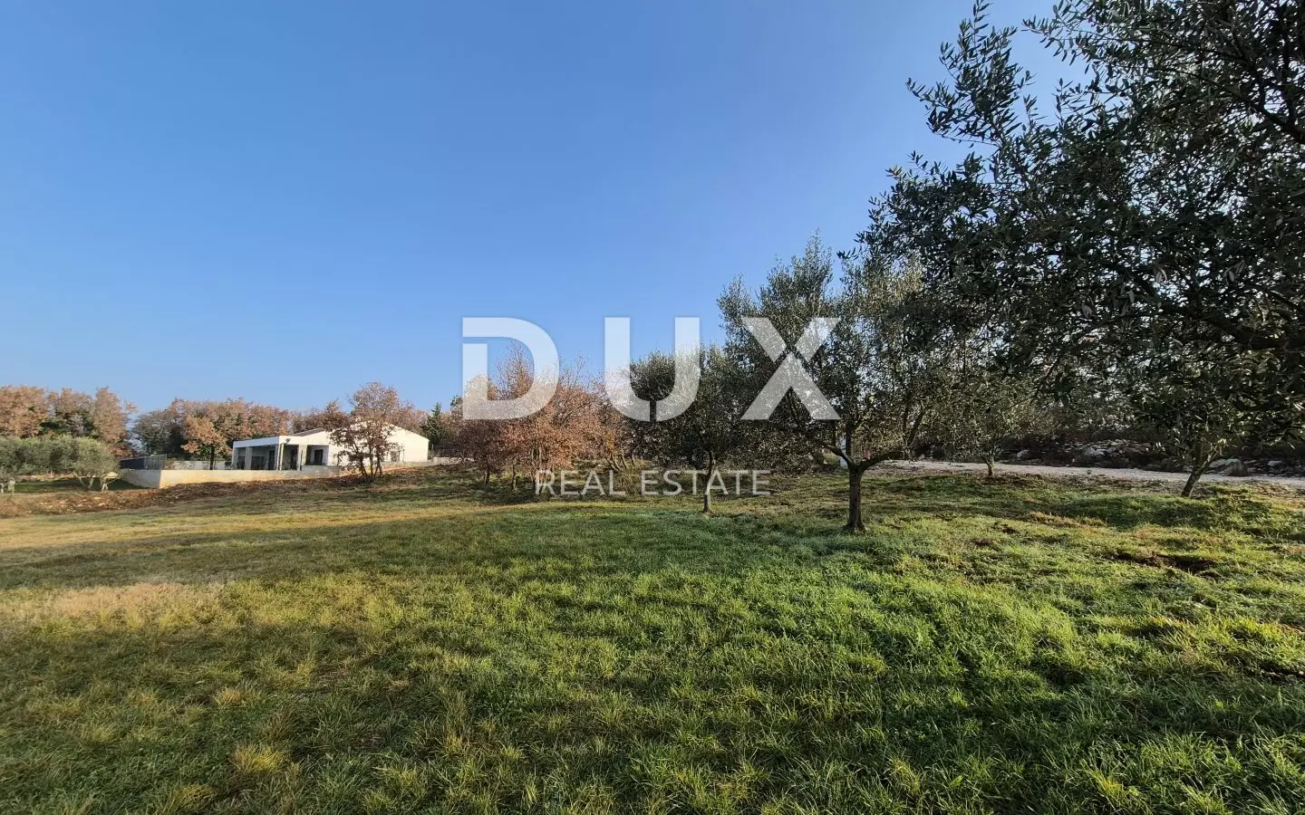 Land In Buje, Croatia (1.494 M²)