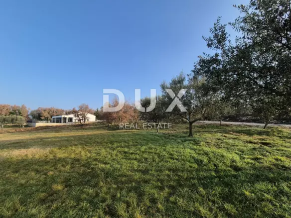 Land In Buje, Croatia (1.494 M²)