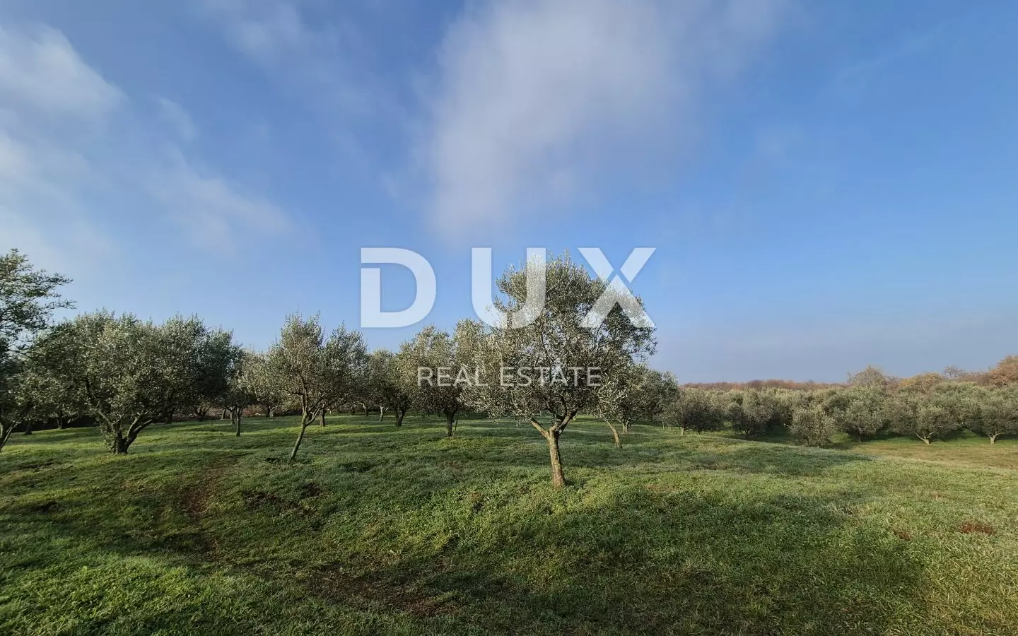 Land In Buje, Croatia (1.494 M²)