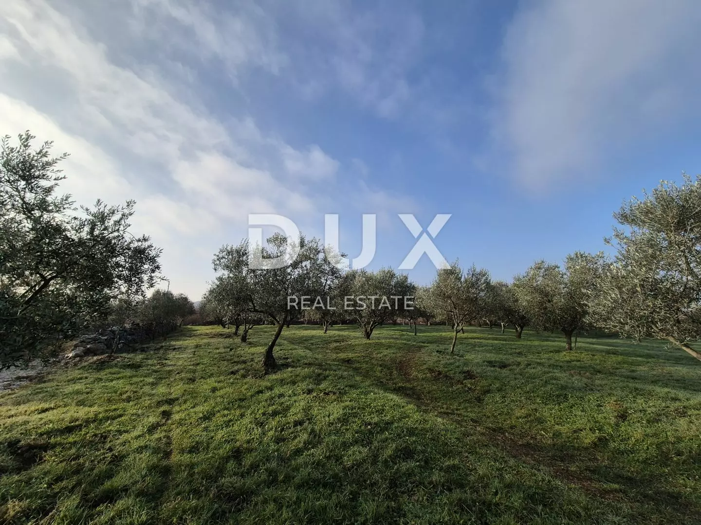 Land In Buje, Croatia (1.494 M²)