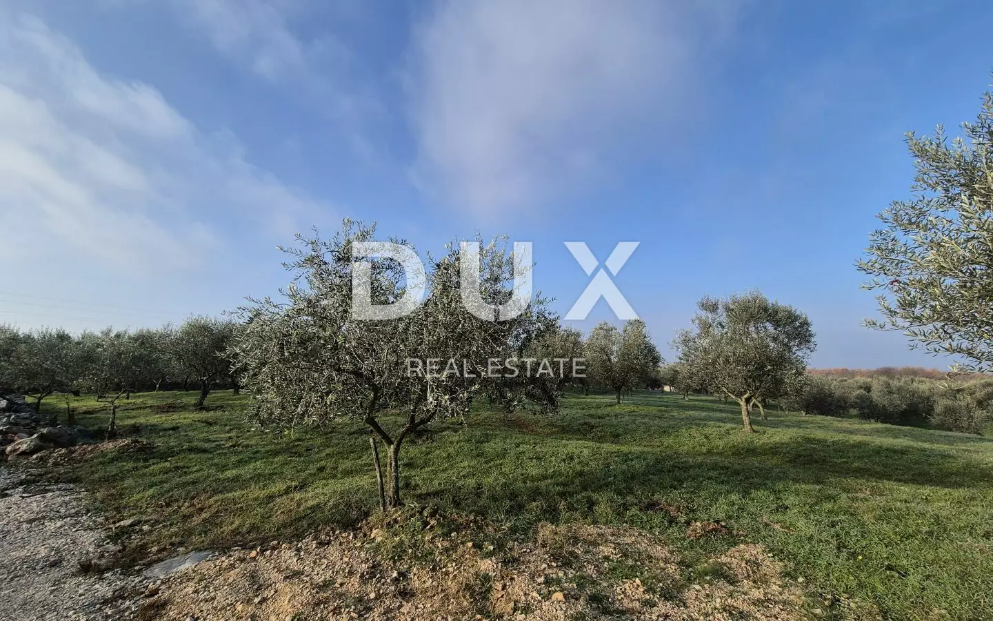 Land In Buje, Croatia (1.494 M²)