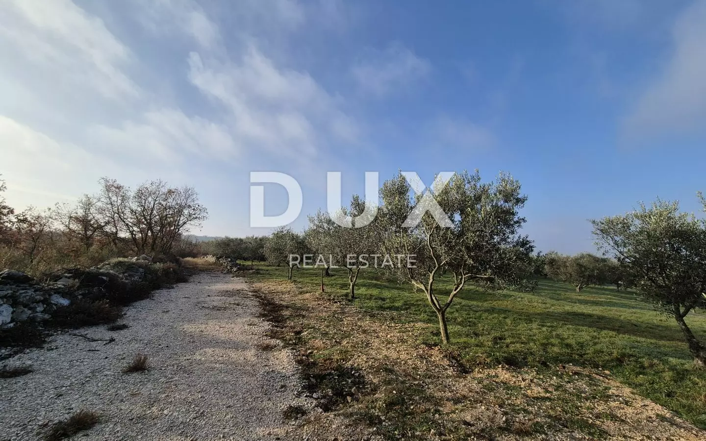 Land In Buje, Croatia (1.423 M²)