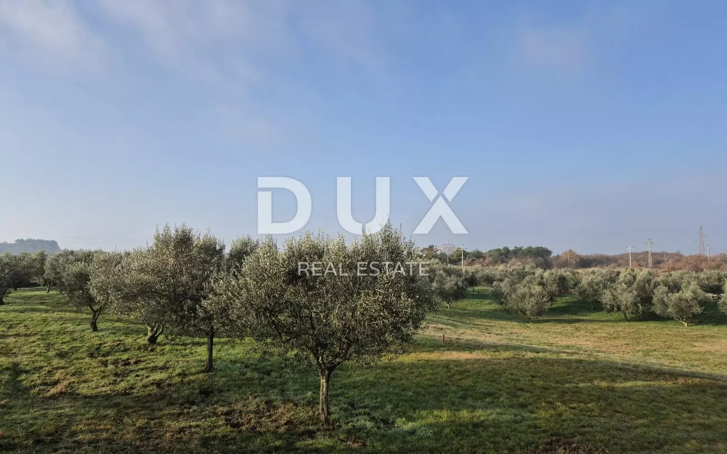 Land In Buje, Croatia (1.423 M²)