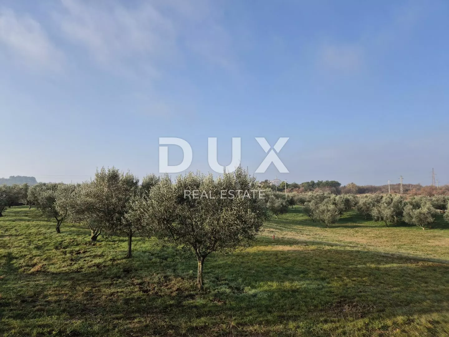 Land In Buje, Croatia (1.423 M²)