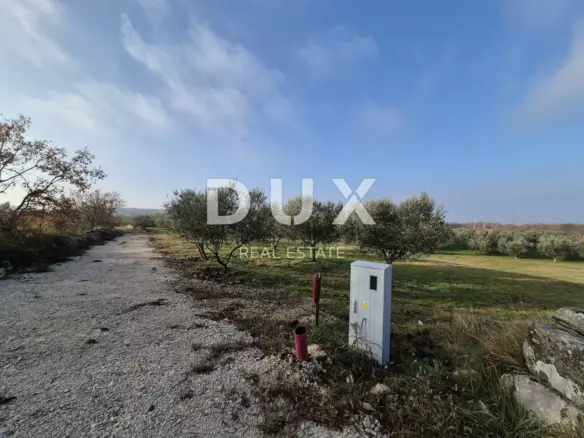 Land In Buje, Croatia (1.423 M²)