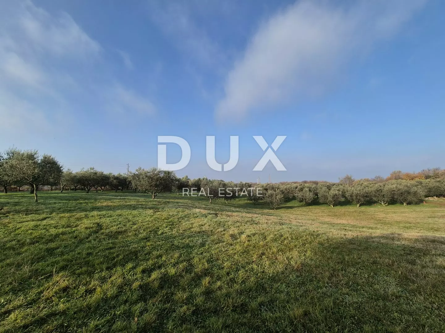 Land In Buje, Croatia (1.423 M²)