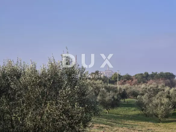 Land In Buje, Croatia (1.423 M²)