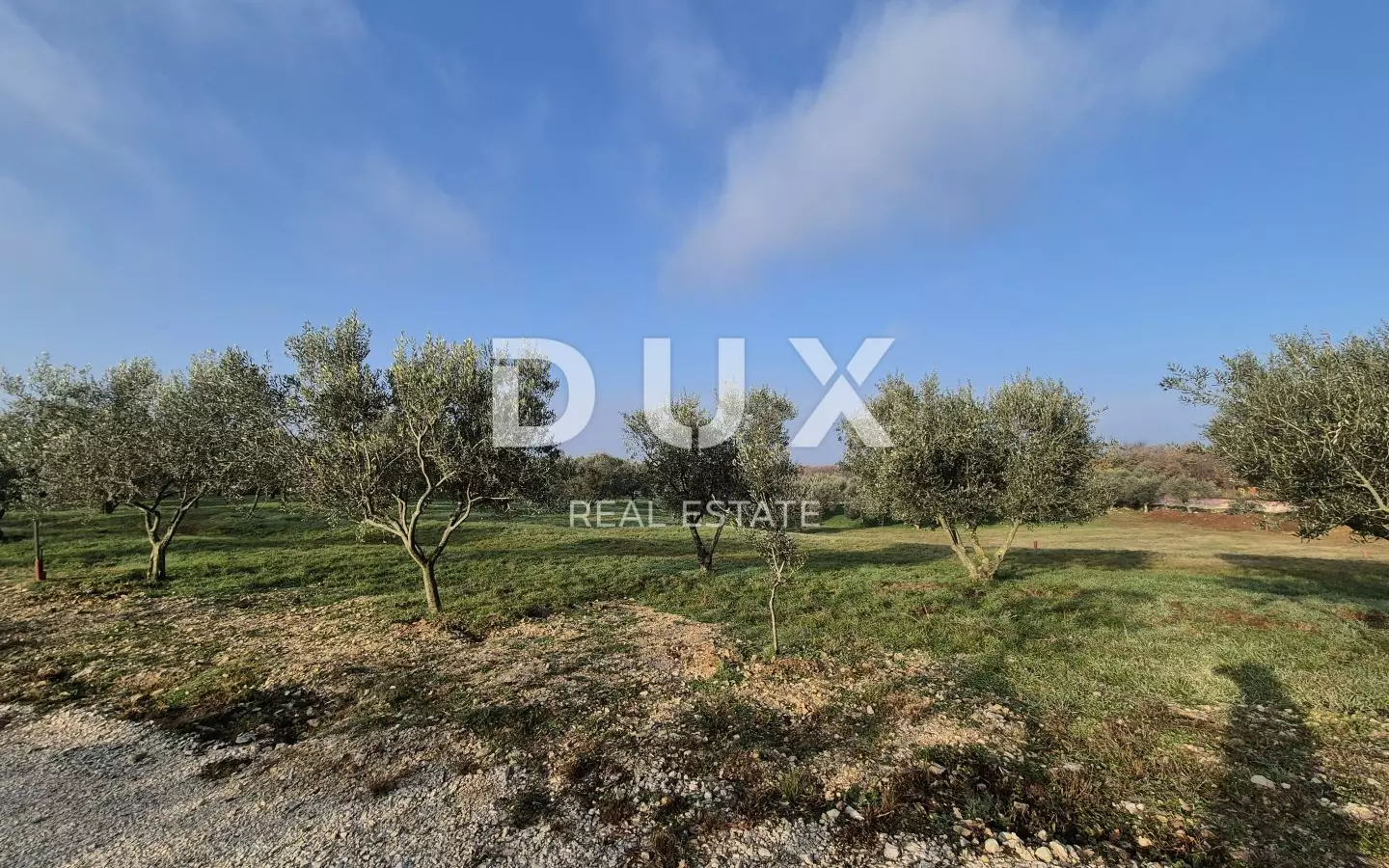 Land In Buje, Croatia (1.423 M²)