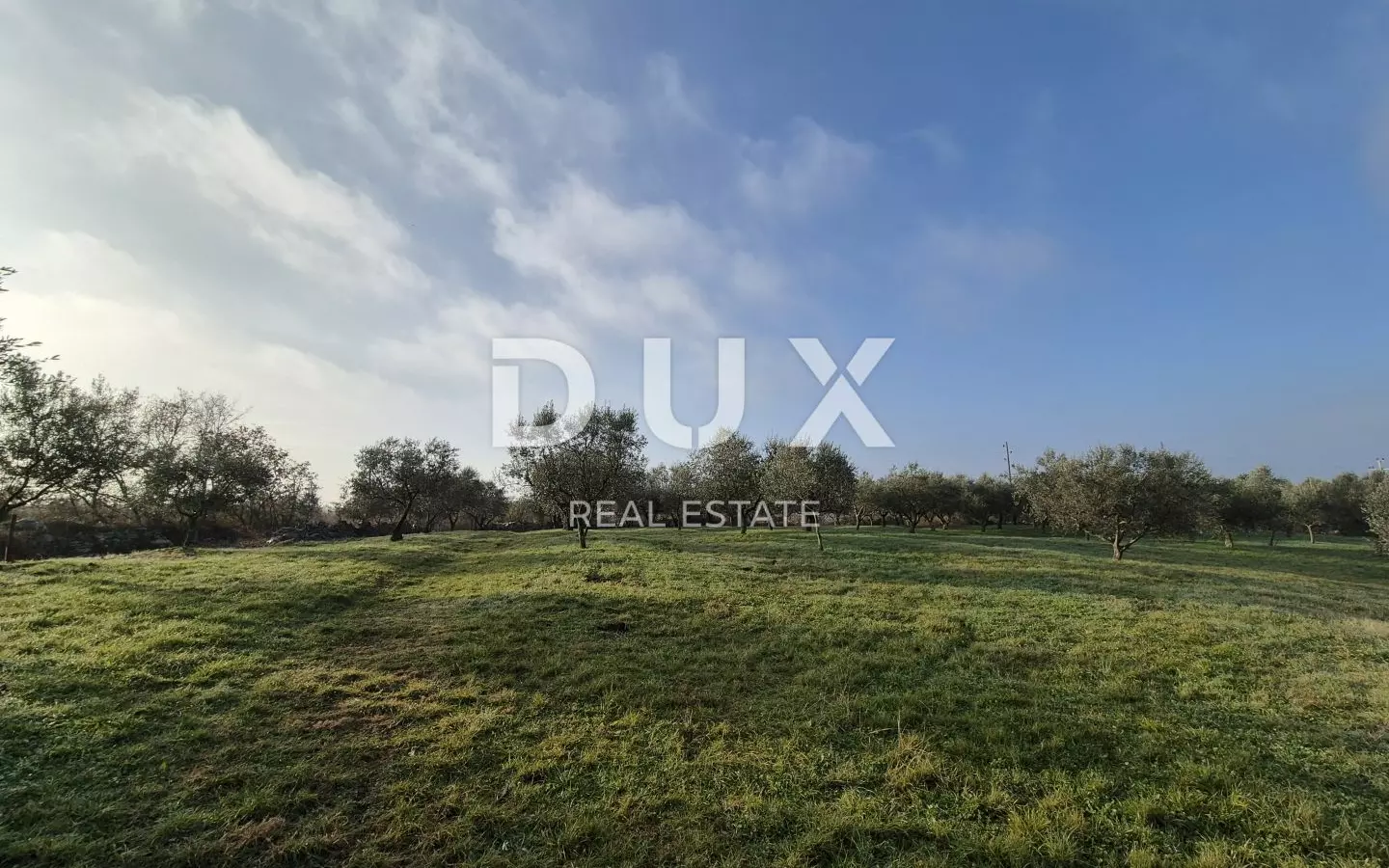 Land In Buje, Croatia (1.423 M²)