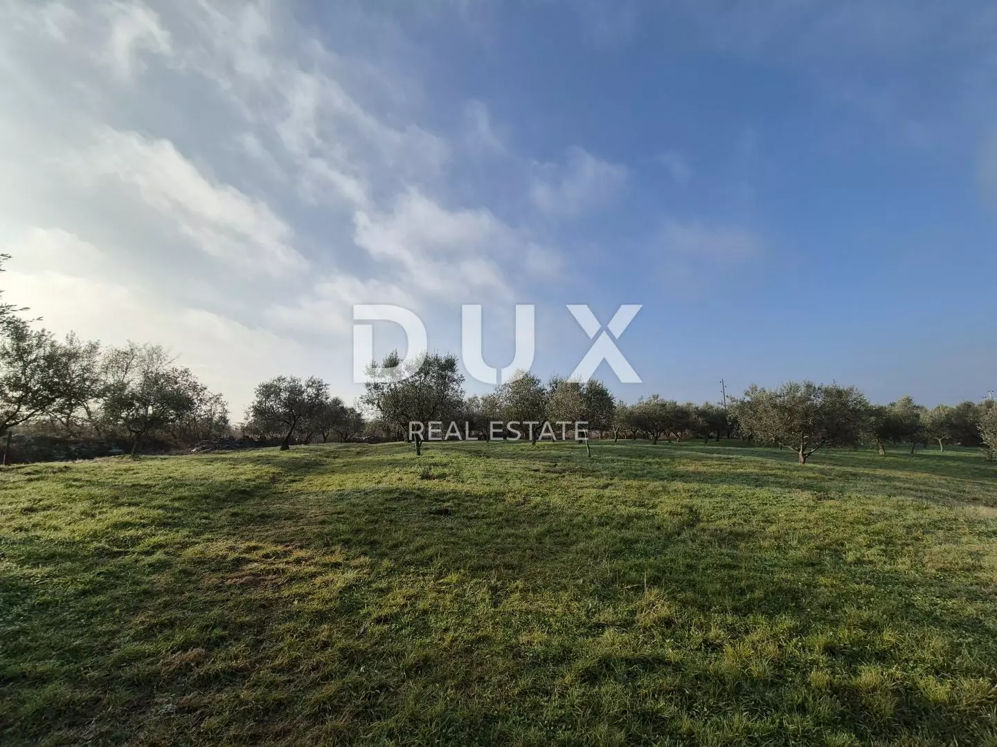 Land In Buje, Croatia (1.423 M²)