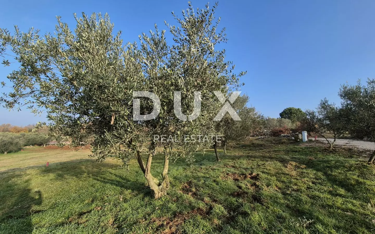 Land In Buje, Croatia (1.423 M²)