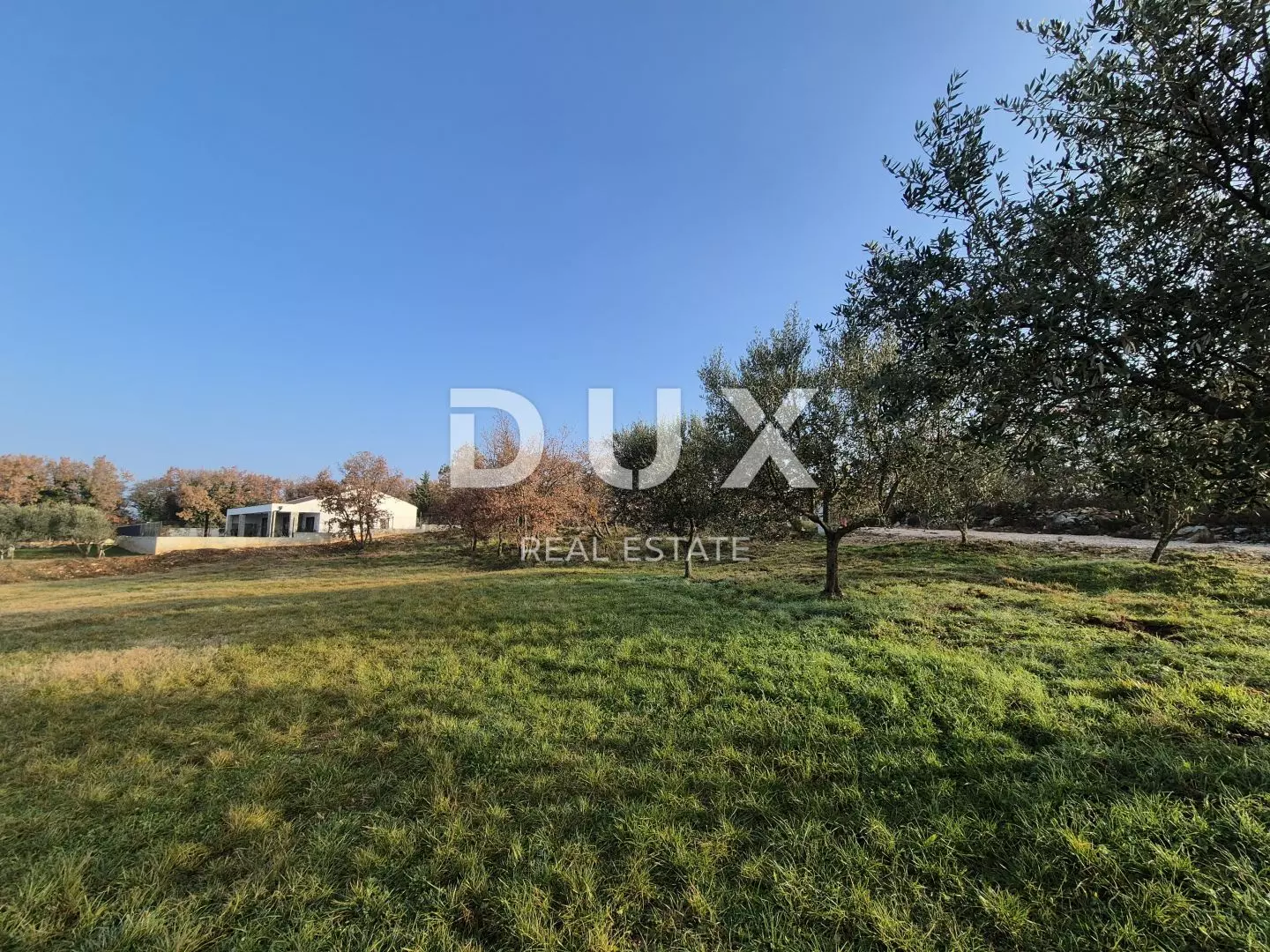 Land In Buje, Croatia (1.423 M²)