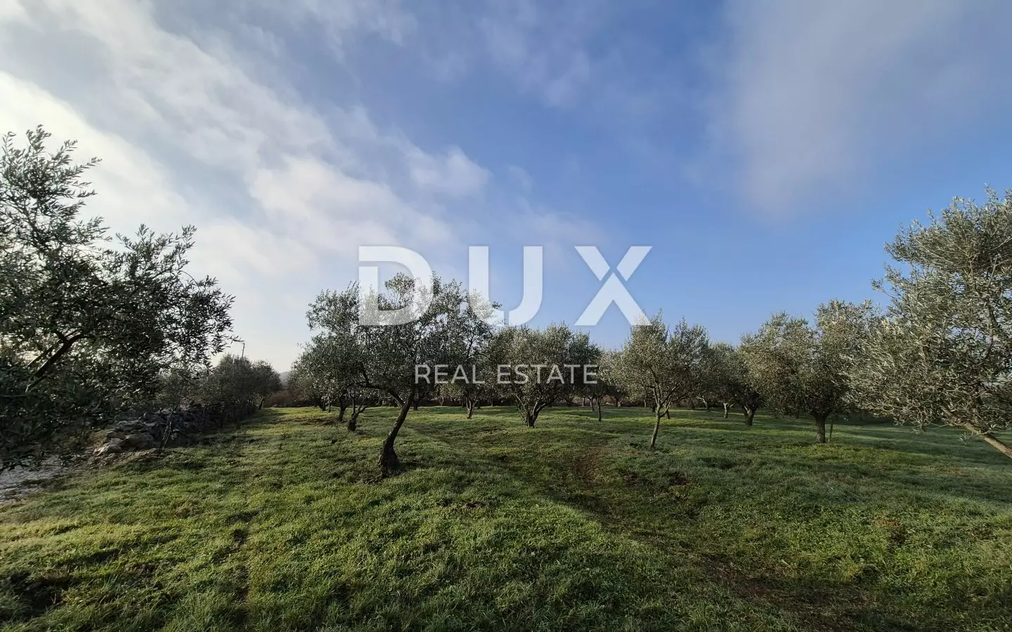 Land In Buje, Croatia (1.423 M²)