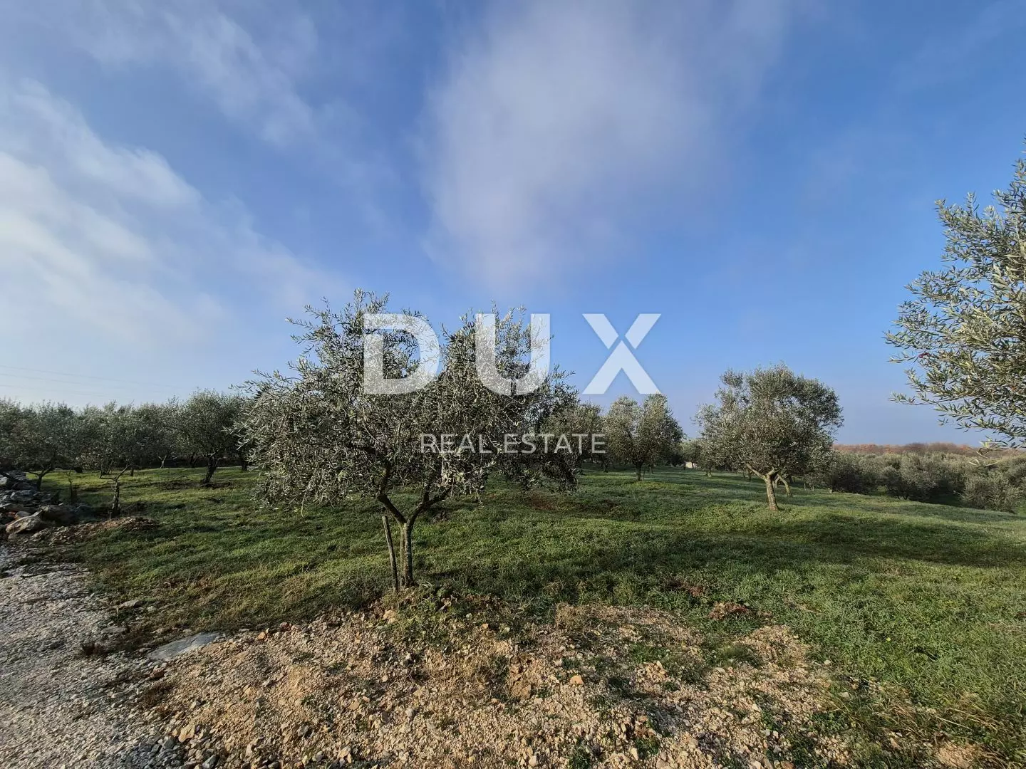 Land In Buje, Croatia (1.423 M²)