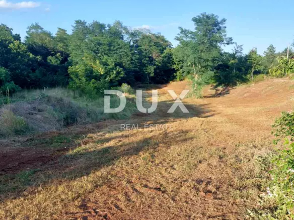 Land In Labin, Croatia (1.586 M²)