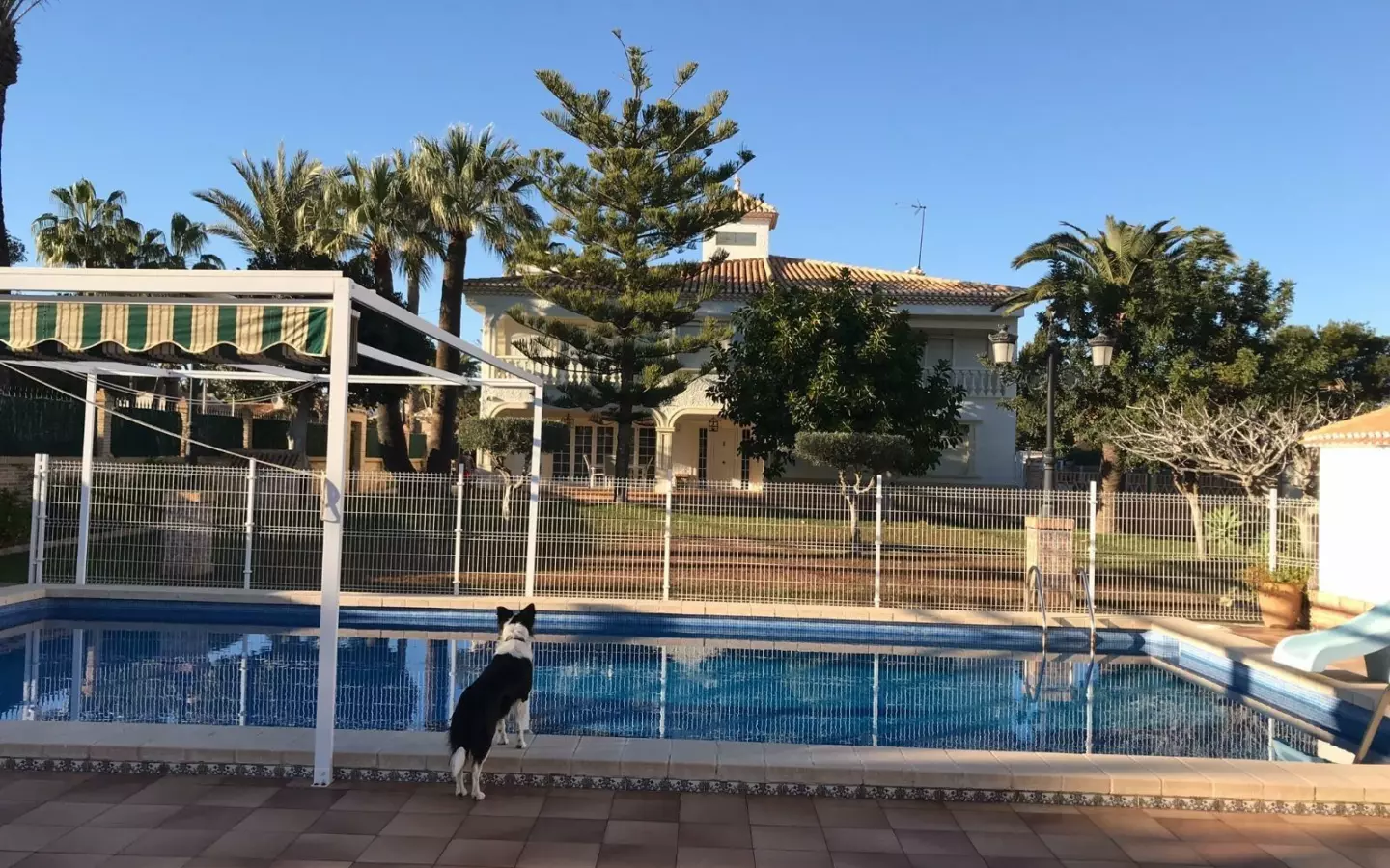 7-bedroom Villa In Orihuela Costa, Spain (500 M²)