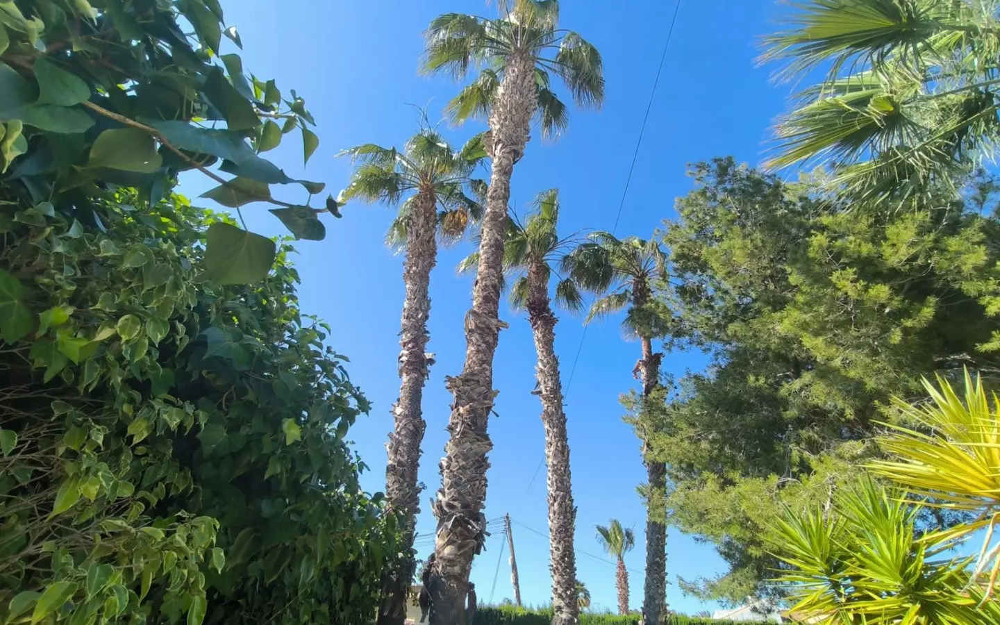 5-bedroom Villa In Torrevieja, Spain (220 M²)
