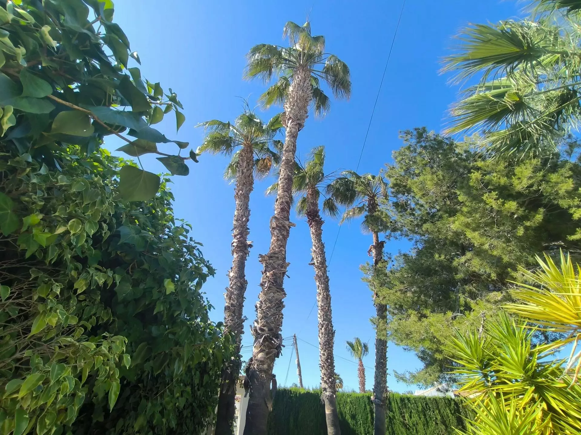 5-bedroom Villa In Torrevieja, Spain (220 M²)