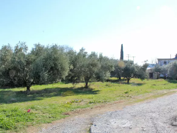 Land In Methoni, Greece