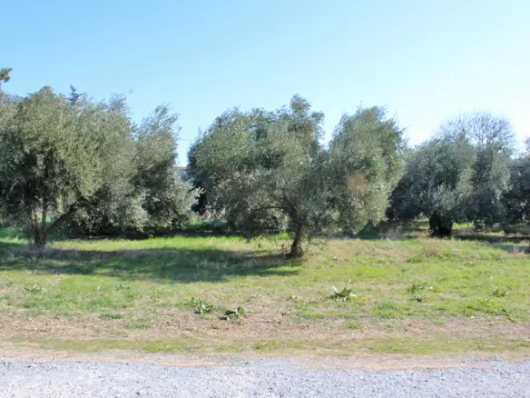 Land In Methoni, Greece