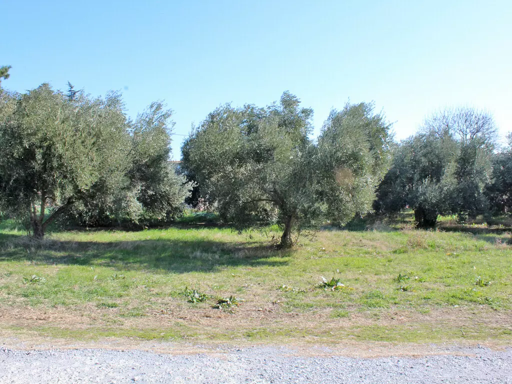Land In Methoni, Greece