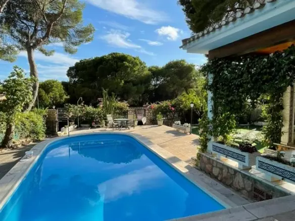 6-bedroom Villa In Pilar De La Horadada, Spain (250 M²)