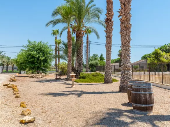 4-bedroom Property In Catral, Spain (540 M²)