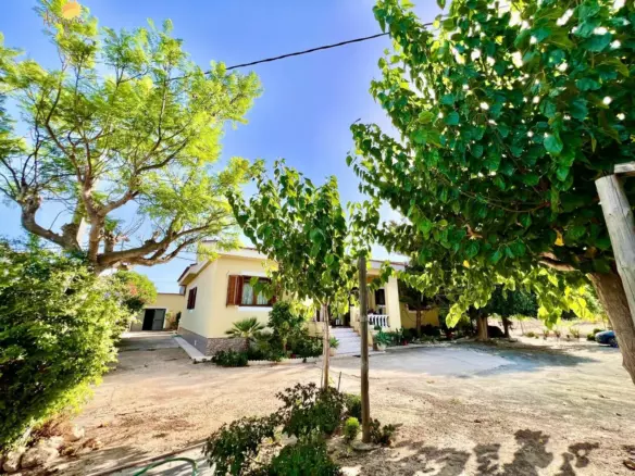 4-bedroom Villa In Daya Vieja, Spain (627 M²)
