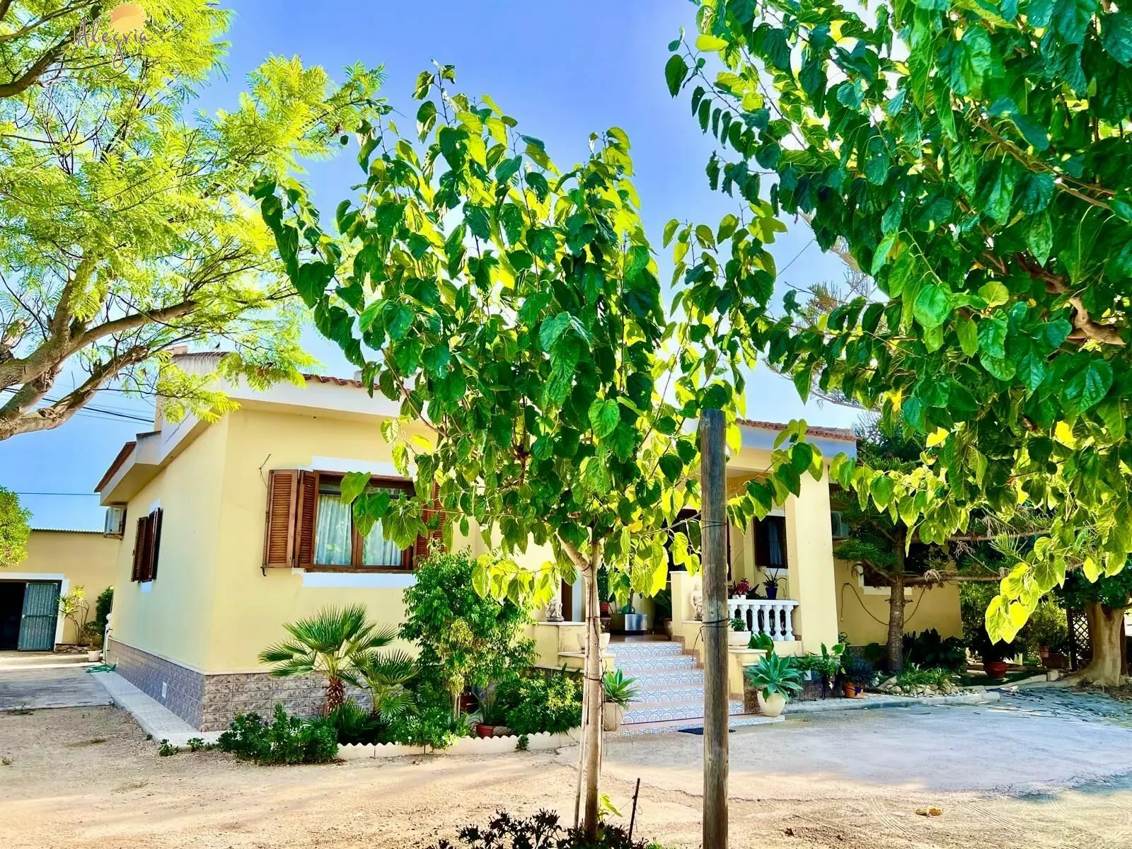 4-bedroom Villa In Daya Vieja, Spain (627 M²)
