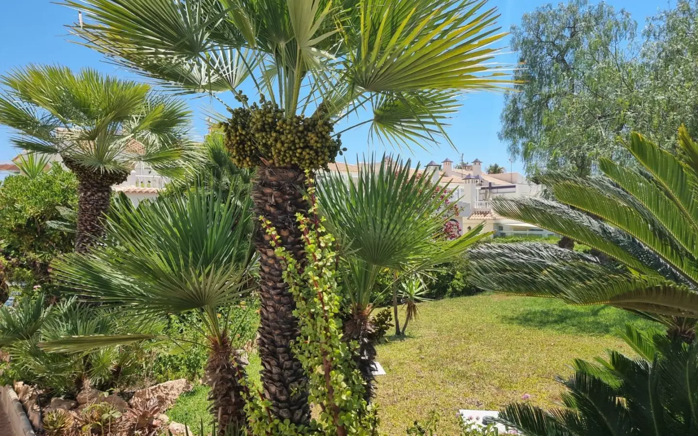 2-bedroom Apartment In Torrevieja, Spain (68 M²)