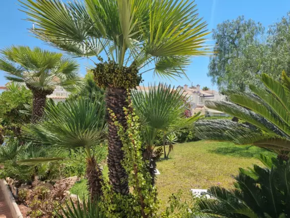 2-bedroom Apartment In Torrevieja, Spain (68 M²)