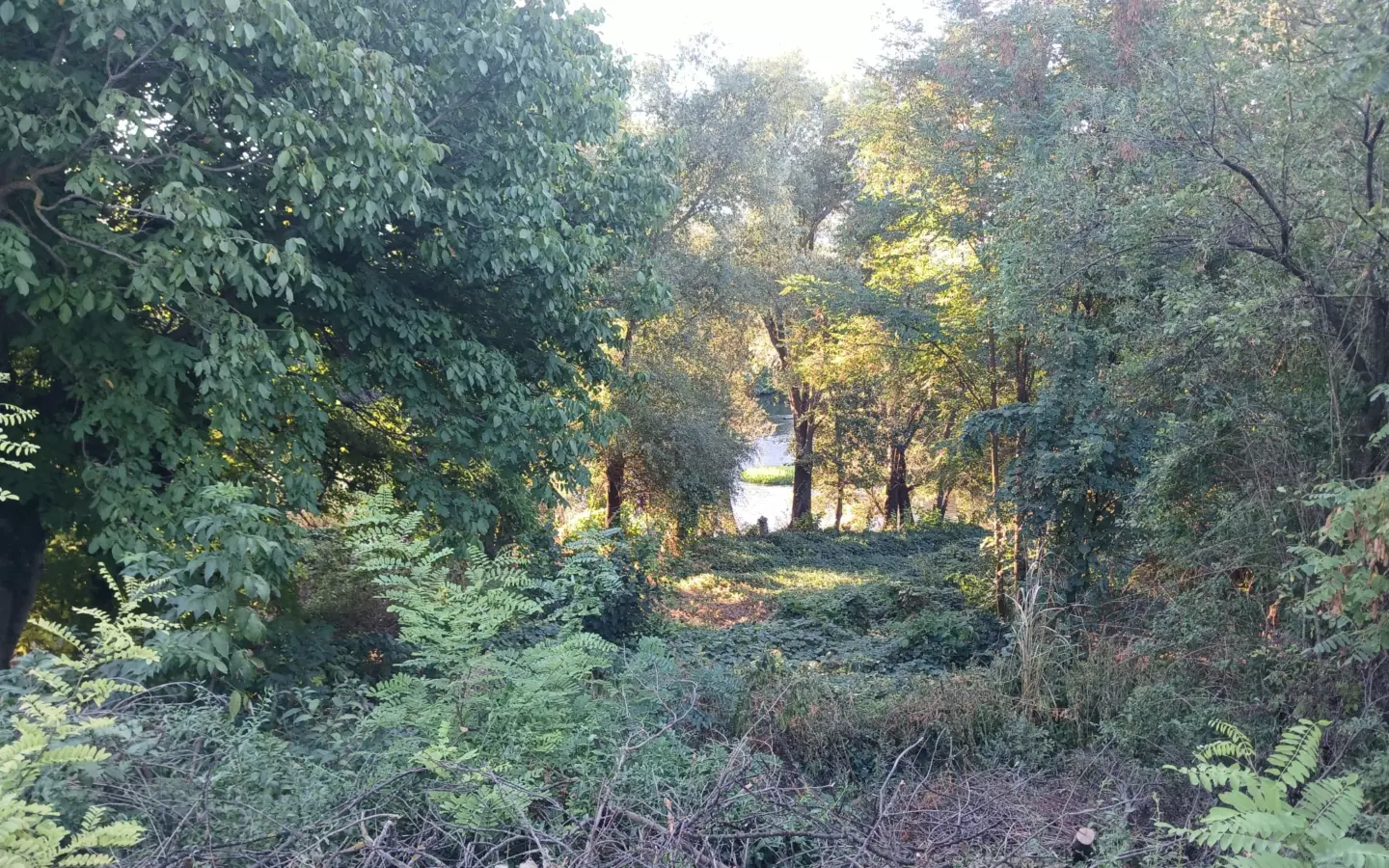 Sunny House By The River In Bulgaria – 1,900 M² Plot, Garage, Private Well & Renovation Potential