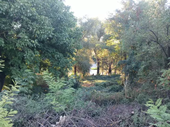 Sunny House By The River In Bulgaria – 1,900 M² Plot, Garage, Private Well & Renovation Potential