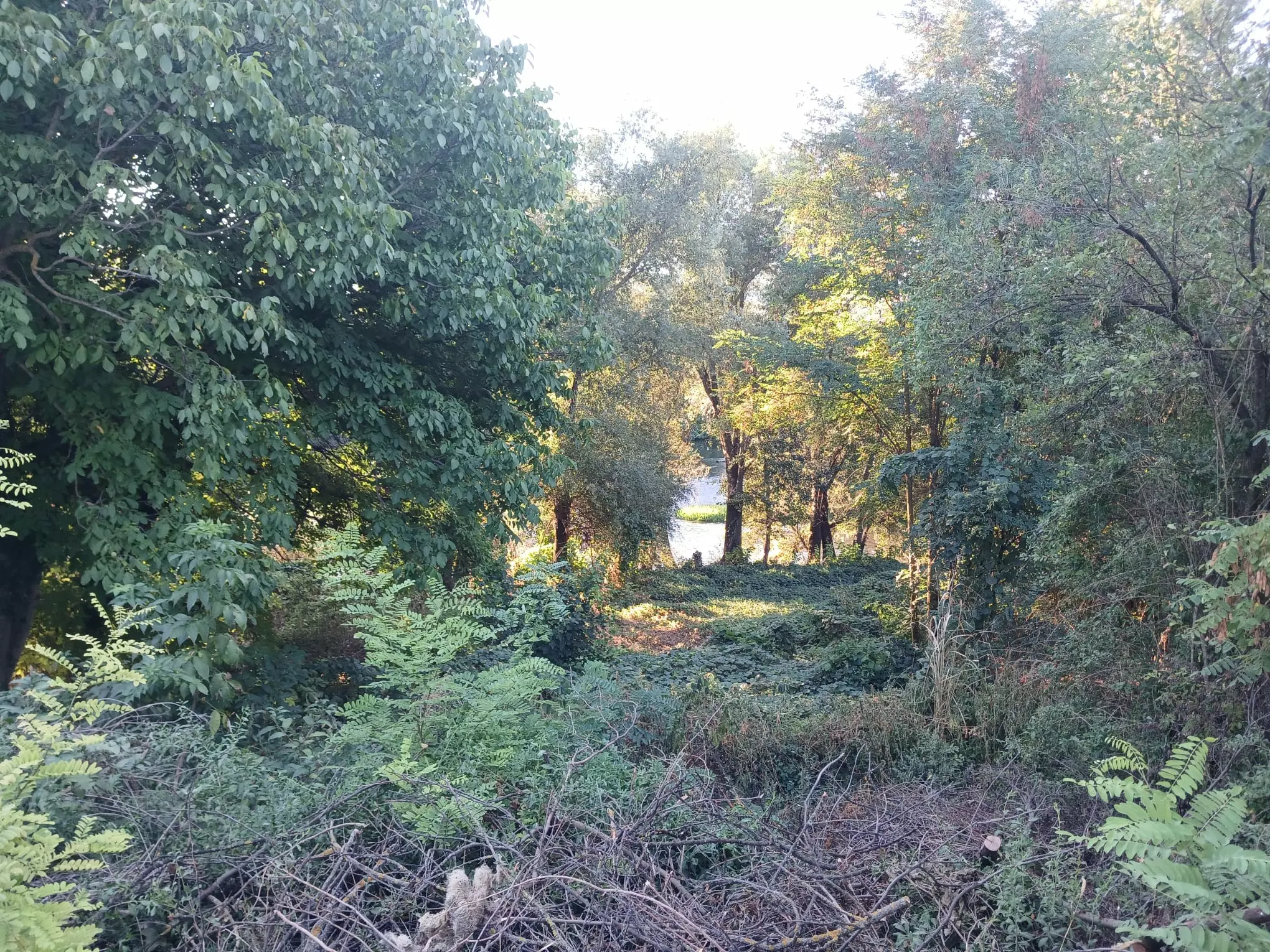 Sunny House By The River In Bulgaria – 1,900 M² Plot, Garage, Private Well & Renovation Potential