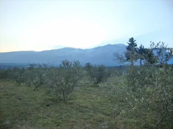 Land In Litochoro, Greece