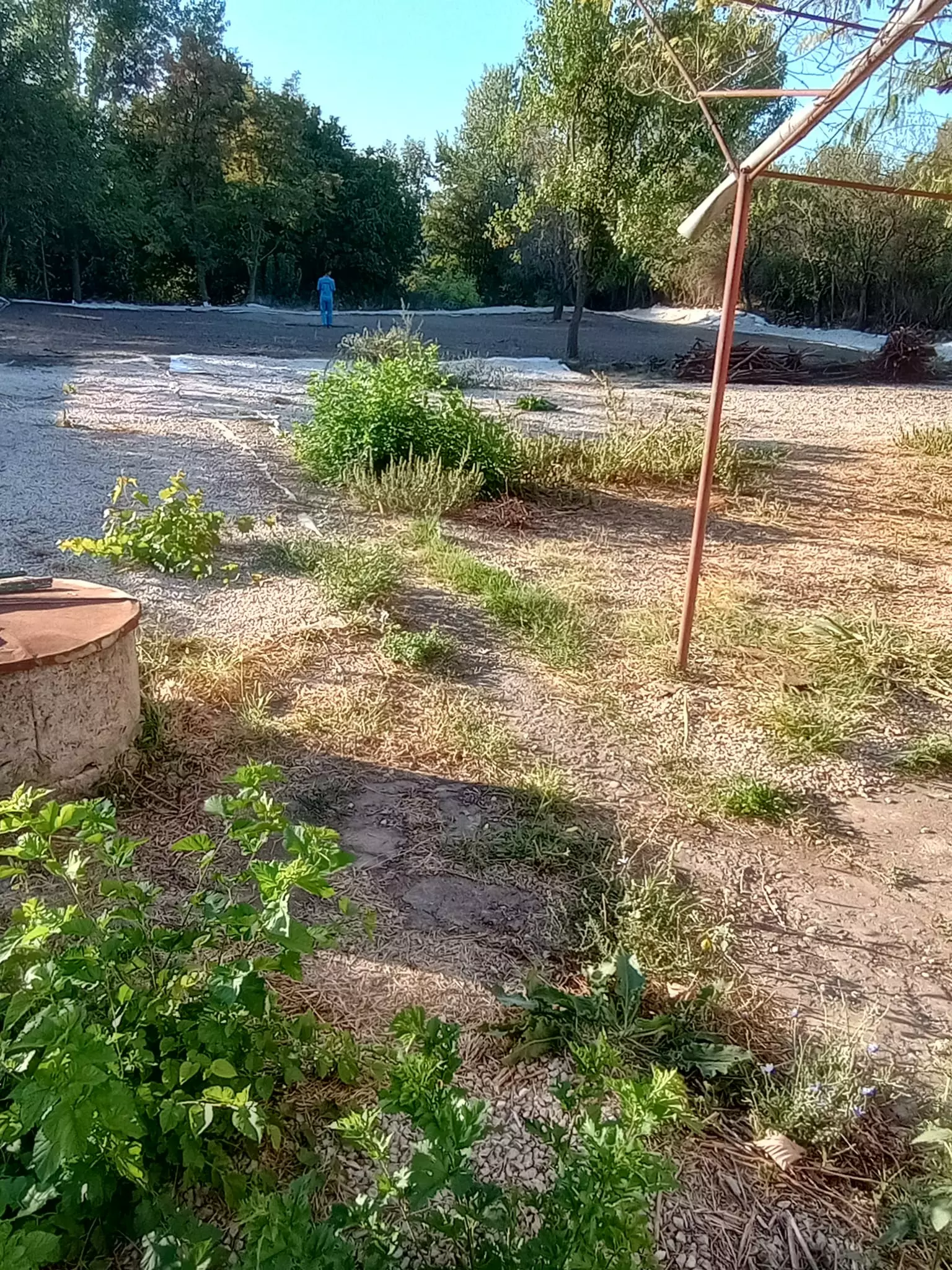 Sunny House By The River In Bulgaria – 1,900 M² Plot, Garage, Private Well & Renovation Potential