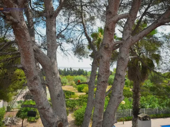 6-bedroom Villa In Torrevieja, Spain (671 M²)