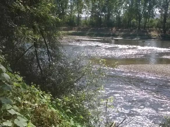 Sunny House By The River In Bulgaria – 1,900 M² Plot, Garage, Private Well & Renovation Potential