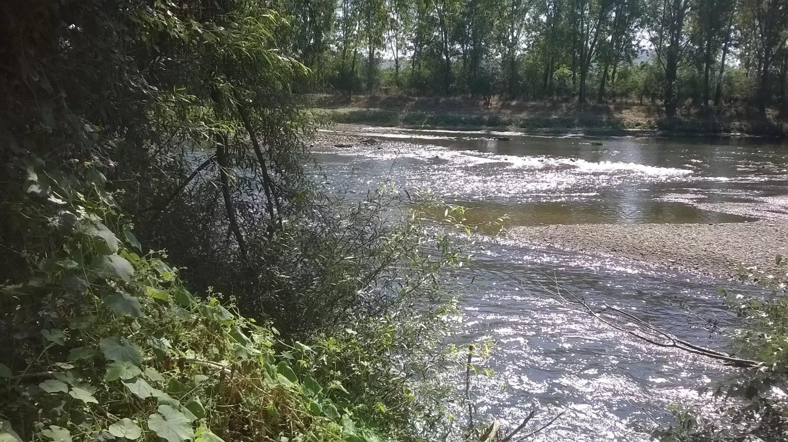 Sunny House By The River In Bulgaria – 1,900 M² Plot, Garage, Private Well & Renovation Potential