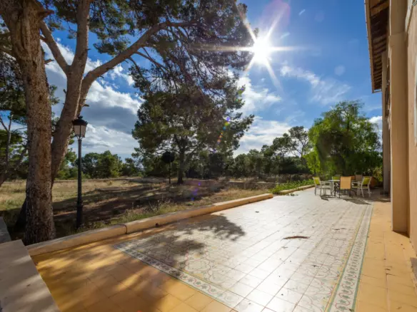 7-bedroom Villa In Alicante, Spain (560 M²)