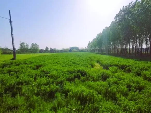 Building Plot For Sale In Tápiószele, Pest County, Hungary