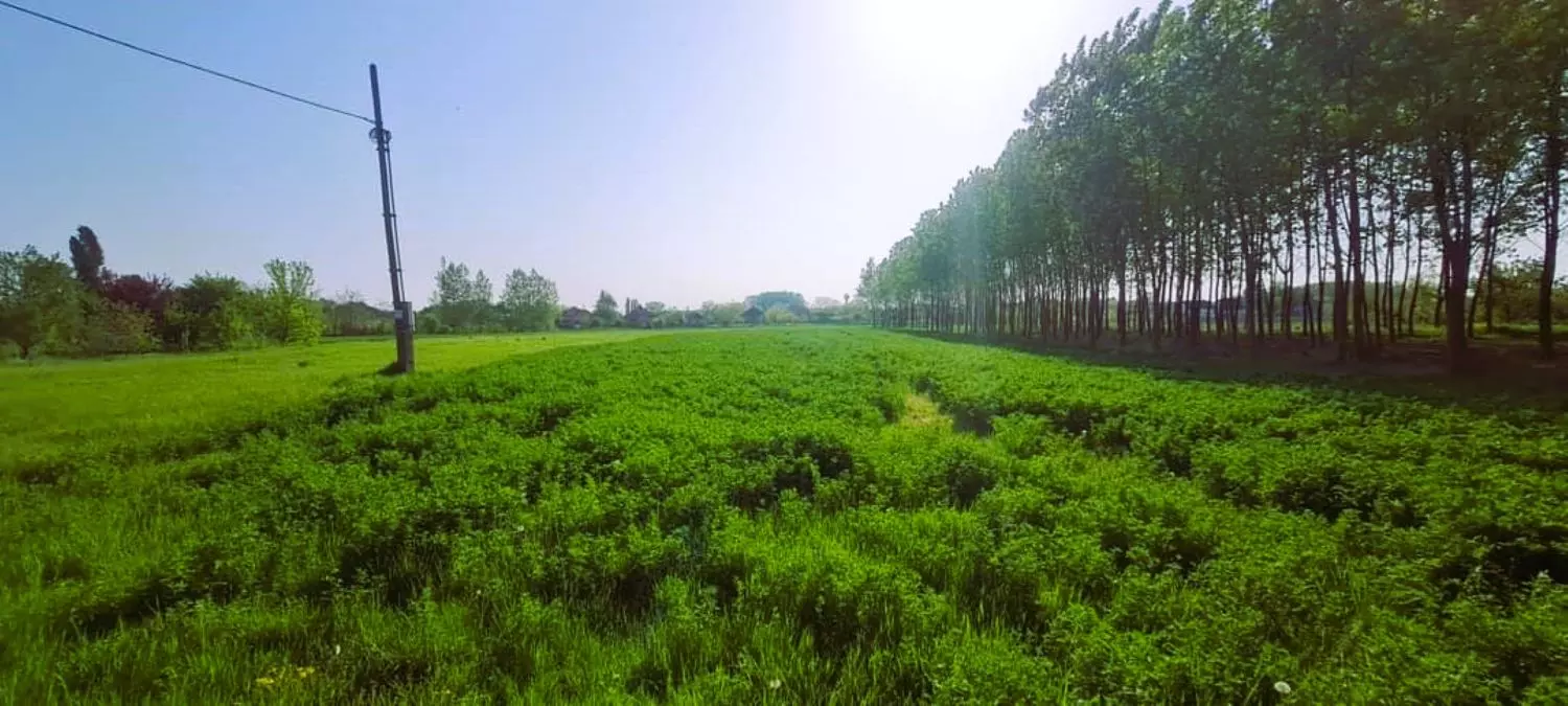 Building Plot For Sale In Tápiószele, Pest County, Hungary