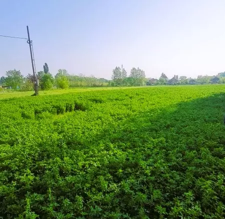 Building Plot For Sale In Tápiószele, Pest County, Hungary