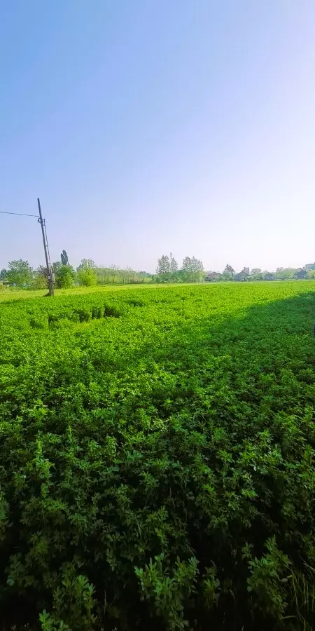 Building Plot For Sale In Tápiószele, Pest County, Hungary