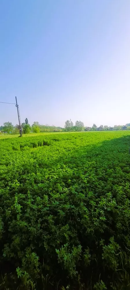 Building Plot For Sale In Tápiószele, Pest County, Hungary
