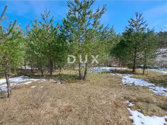 Land In Kunić, Croatia (11.682 M²)