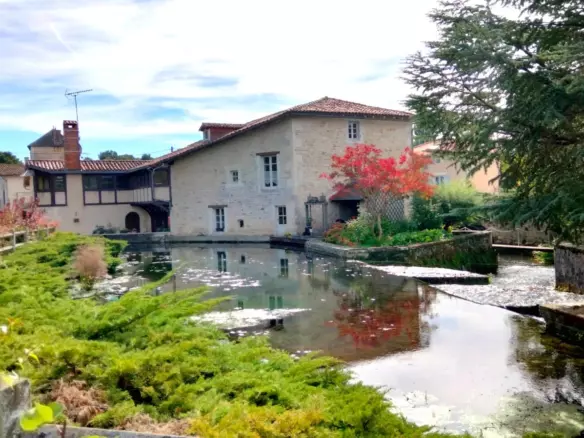 4-bedroom Mill In Lizant, France (320 M²)