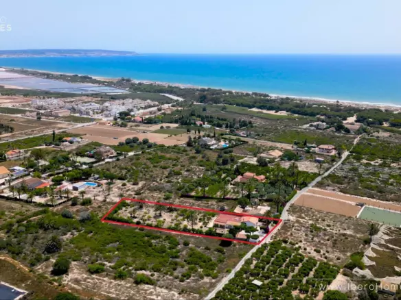 5-bedroom Property In La Marina, Spain (315 M²)